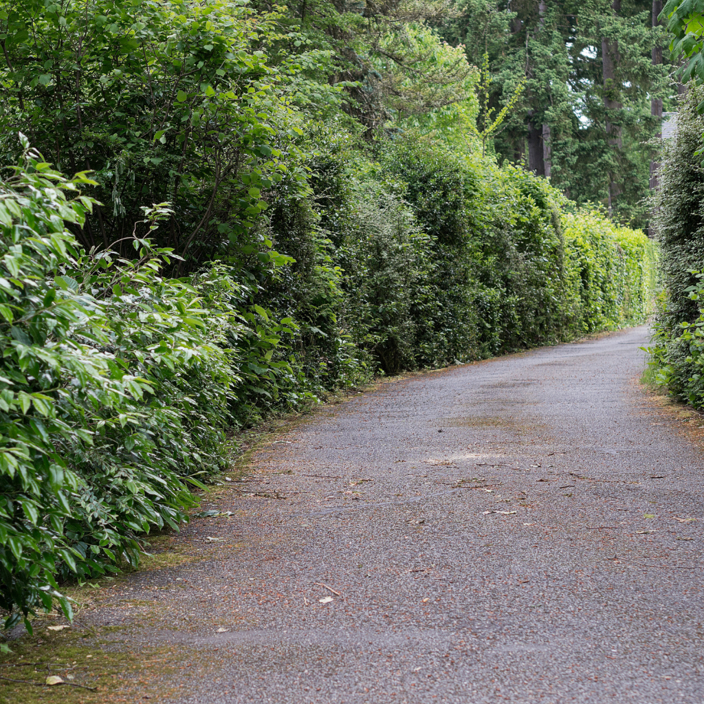 Quality Tarmaced Driveway by WCD in Chester